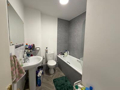Picture 13
